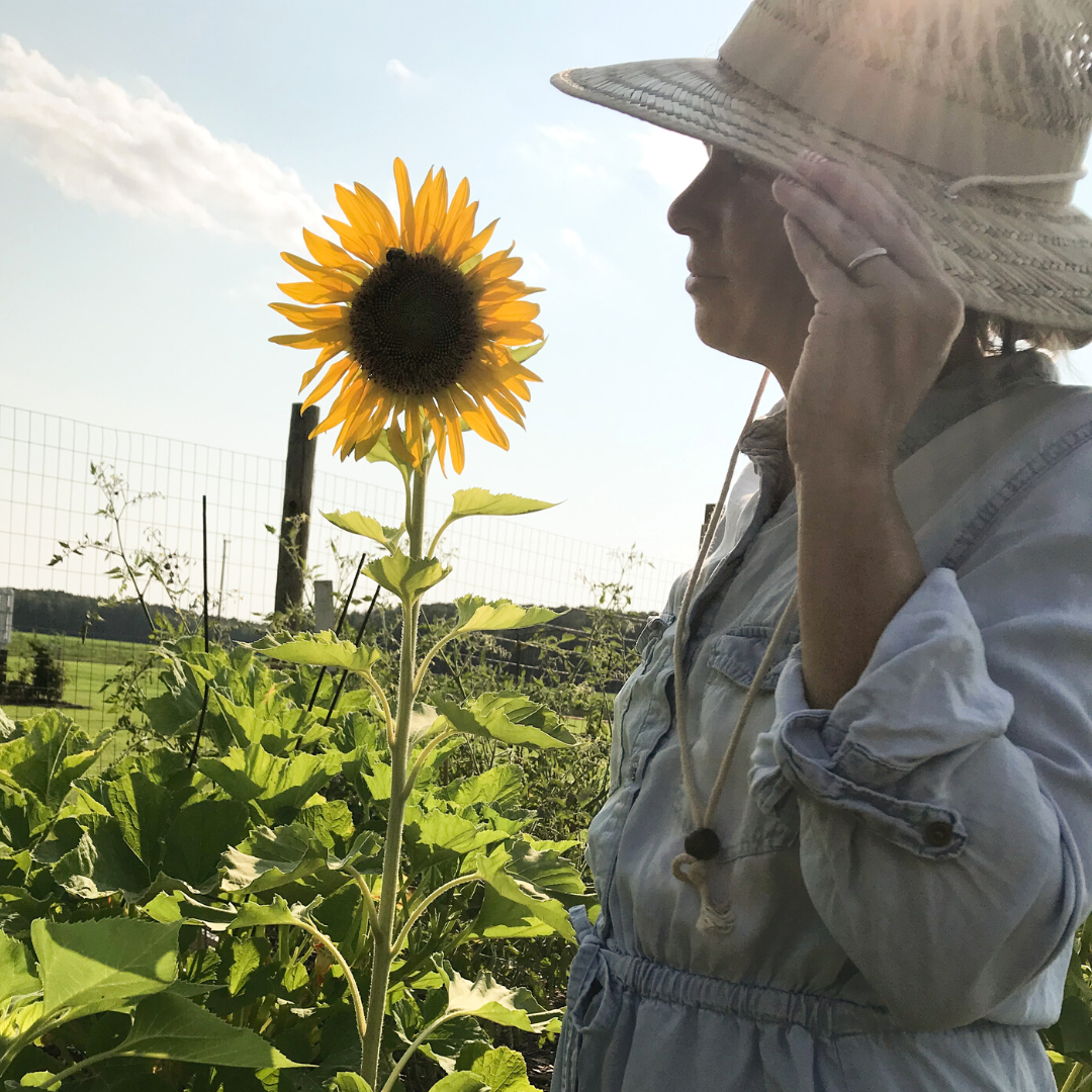 woman standing in sunlight beside a sunflower in bloom holding the side of her straw hat in profile on her one acre homestead