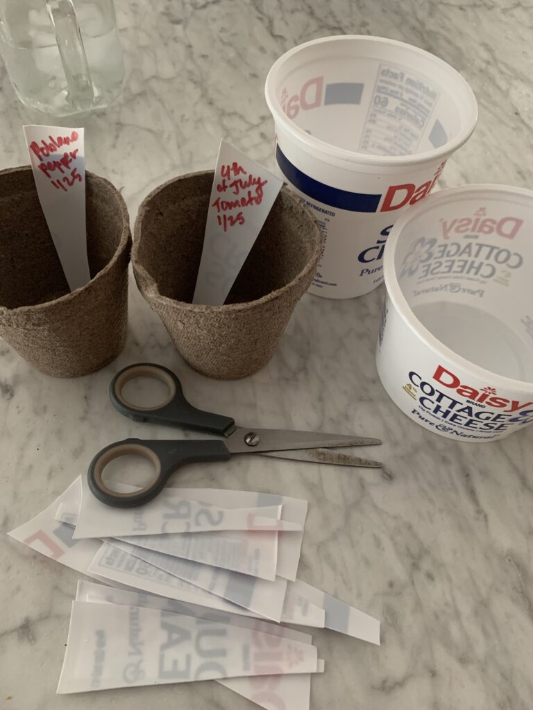 two recycled paper seed cups, two Daisy sour cream and cottage cheese containers sitting on marble counter top with gray handled scissors in foreground alongside cut pieces of plastic for seed tags