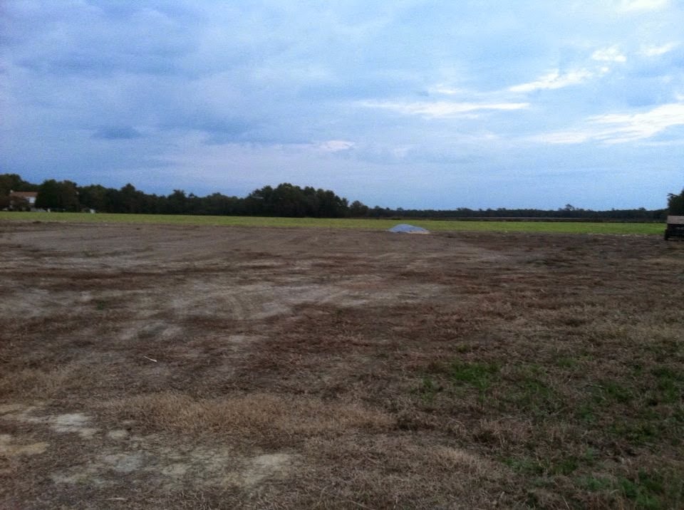 photo of raw farm land just purchased that will one day become our homestead