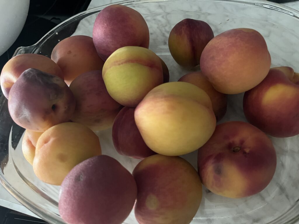 a clear glass bowl of blanched peaches for peach jam