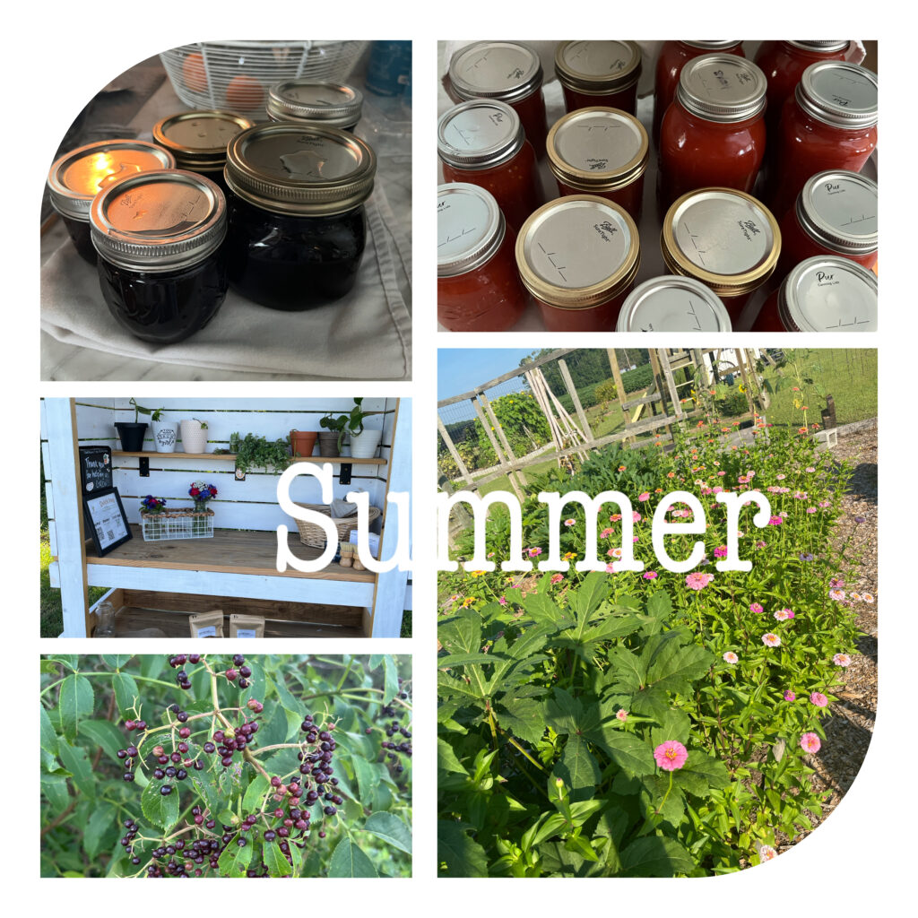 a photo collage of summertime homestead happenings: canning jars, lots of flowers, harvesting the garden, farm stand produce