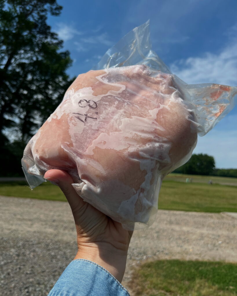 hand holding up meat bird frozen in a plastic bag labeled 4.8 outside with trees and a blue sky in the background