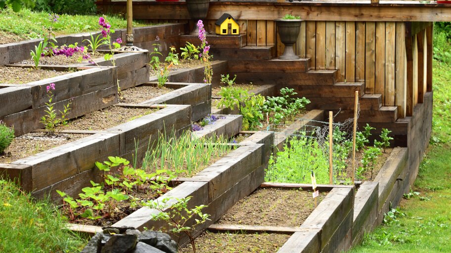 an idea for optimization to build a small homestead up is multi-level or stacked gardening