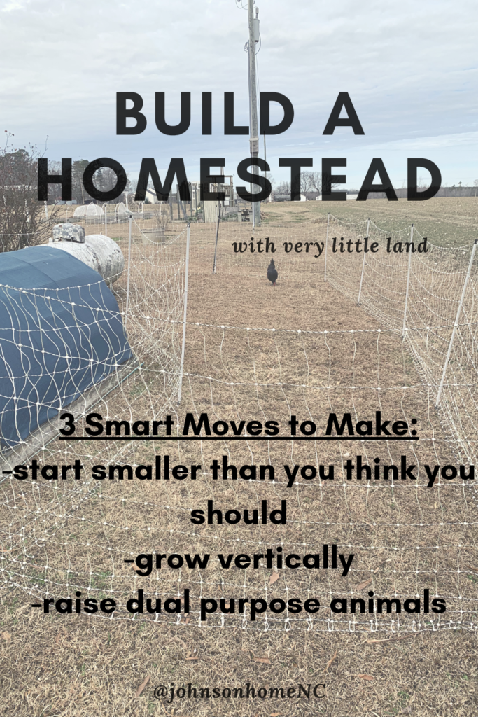 build a homestead flyer for Pinterest with the 3 smart moves listed in bullet style