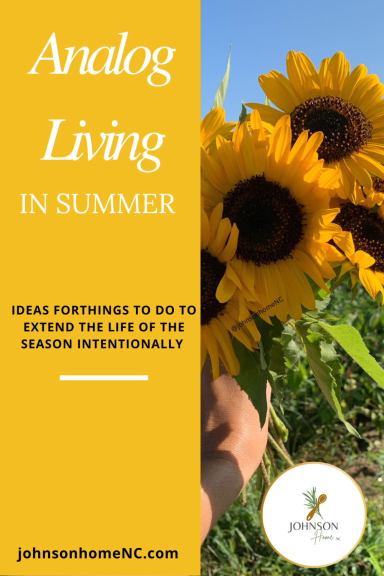Ways to do Analog Living in the Summer