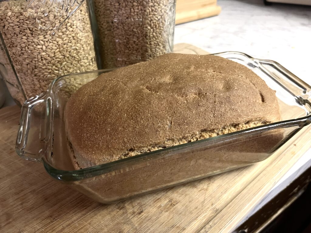 loaf of freshly milled honey wheat bread in a glass bread pan on a wooden cutting board in front of two large glass containers of wheat berries